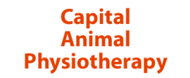 Capital Animal Physiotherapy